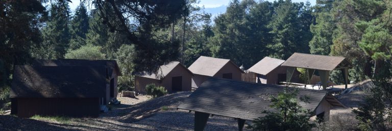 Dogpatch Cabins and Picnic area